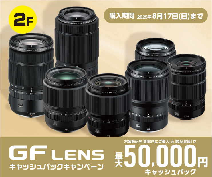 2F_Fuji1.png