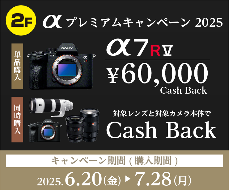 2F_SONY4.png