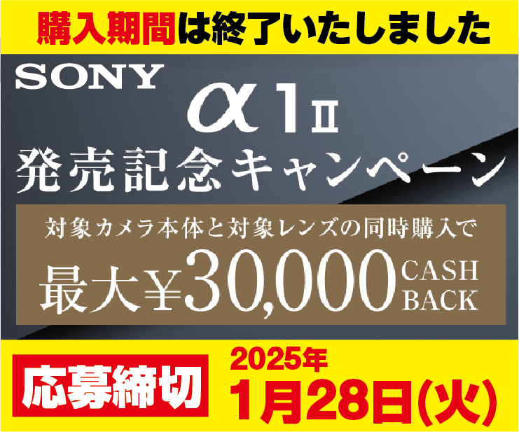 2F_SONY_01.png