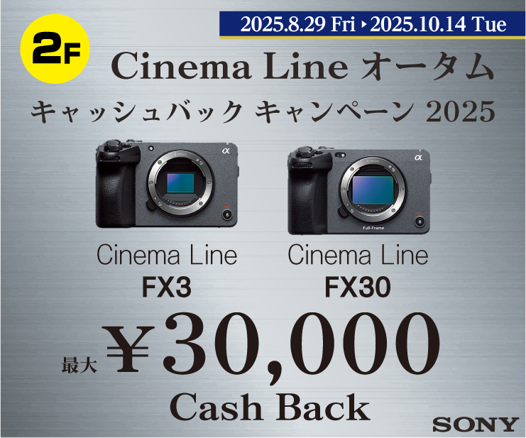 2F_Sony1.png