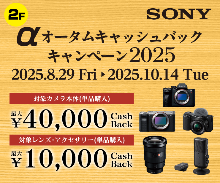 2F_Sony3.png