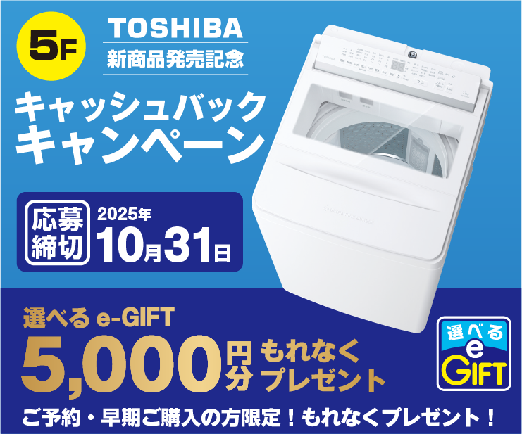 5F_TOSHIBA.png