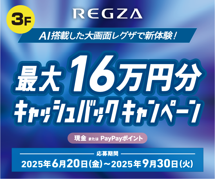 3F_REGZA.png