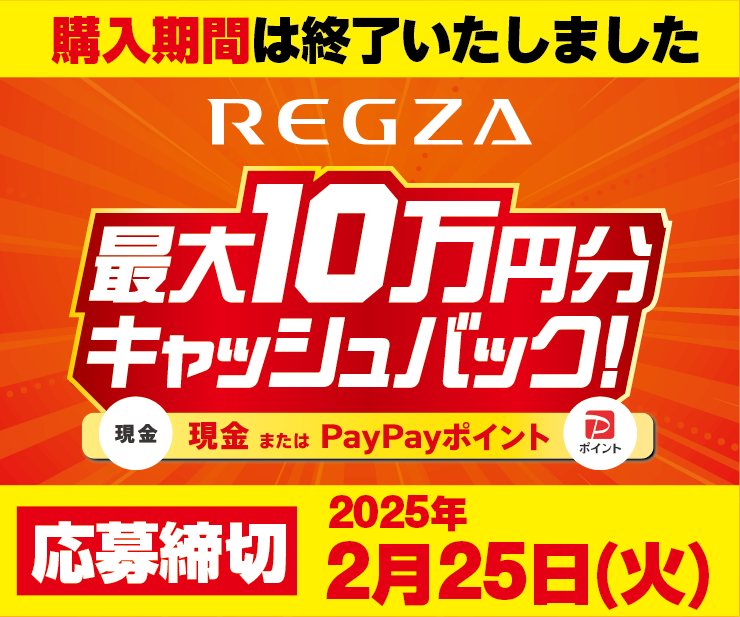 3F_REGZA_01.png