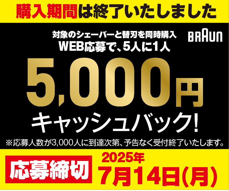 4F_BRAUN_end.png