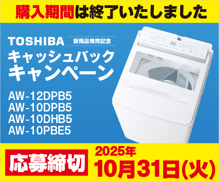 5F_TOSHIBA_end.png