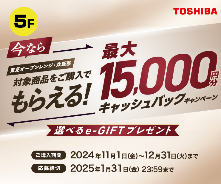 TOSHIBA.png