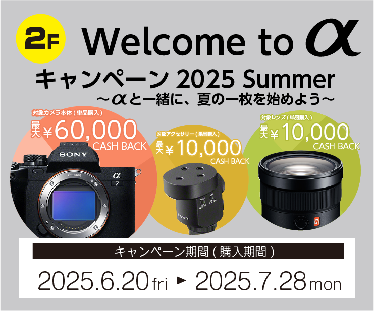 2F_SONY3.png